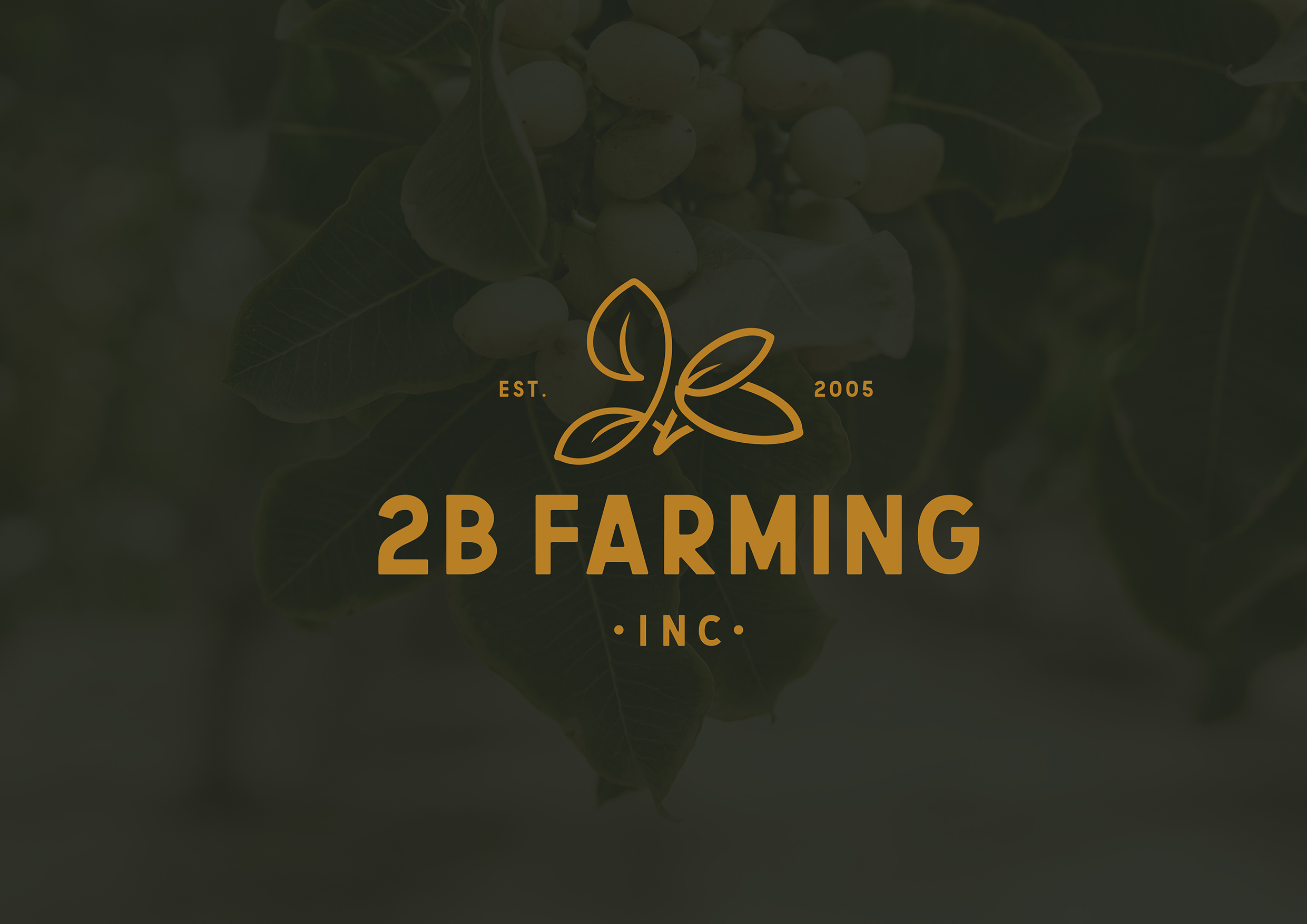 2B Farming, logo over pistachio orchard photography